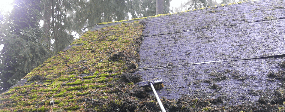 A roof with moss and dirt on it